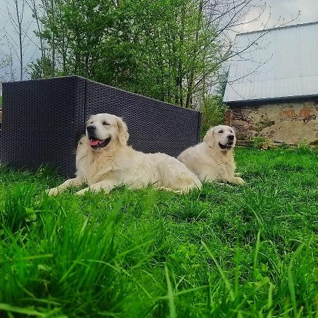 Polny Zakatek - Pokoje Goscinne Rybnica ภายนอก รูปภาพ