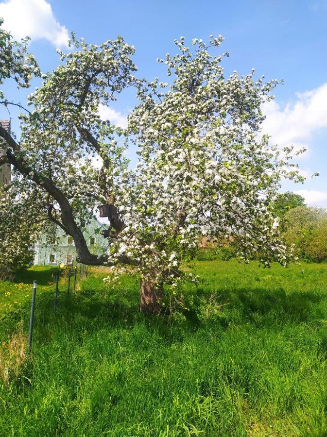 Polny Zakatek - Pokoje Goscinne Rybnica ภายนอก รูปภาพ